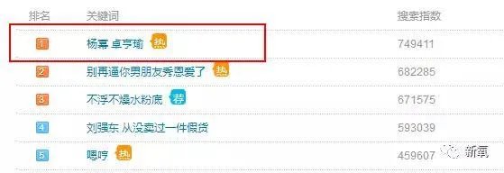 替身神似杨幂、放话称“是她整得像我”,你怎么看?