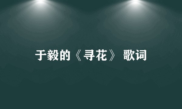 于毅的《寻花》 歌词