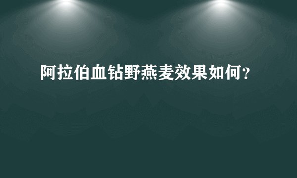 阿拉伯血钻野燕麦效果如何？