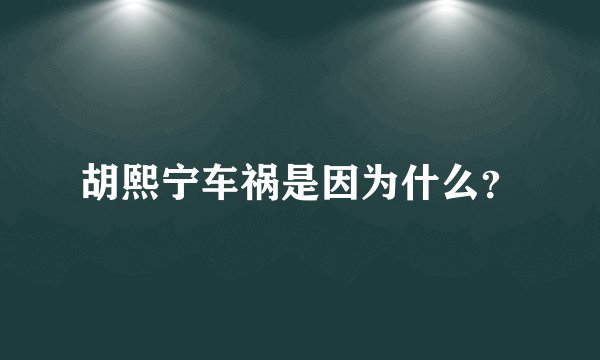 胡熙宁车祸是因为什么？