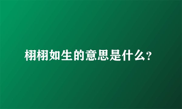 栩栩如生的意思是什么？