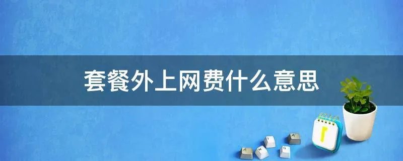 套餐外上网费什么意思