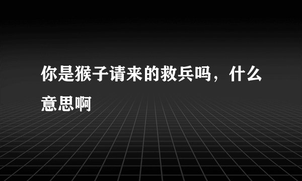 你是猴子请来的救兵吗，什么意思啊