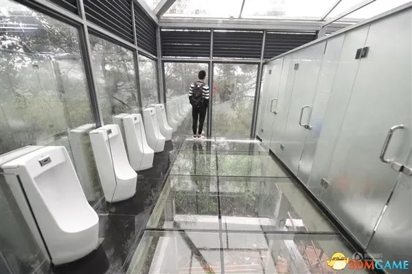 国内首个男、女全透明公厕开放：这画面十分酸爽
