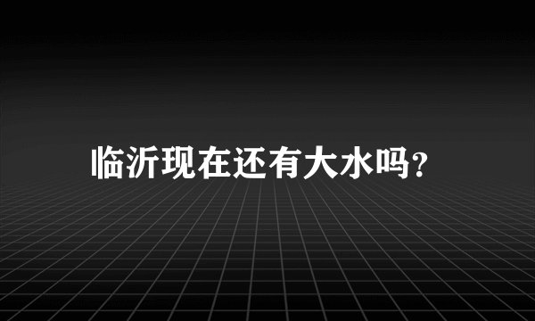 临沂现在还有大水吗？