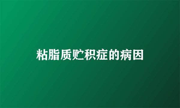 粘脂质贮积症的病因
