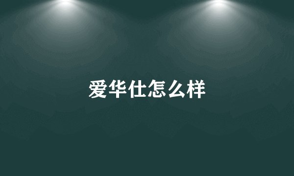 爱华仕怎么样