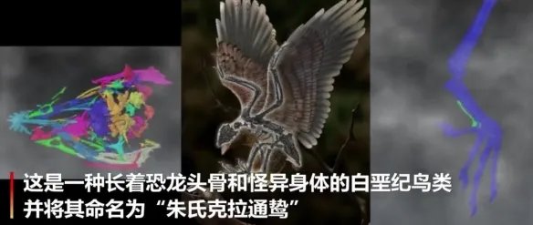 长着恐龙头骨和怪异身体!中国发现1.2亿年前鸟类!