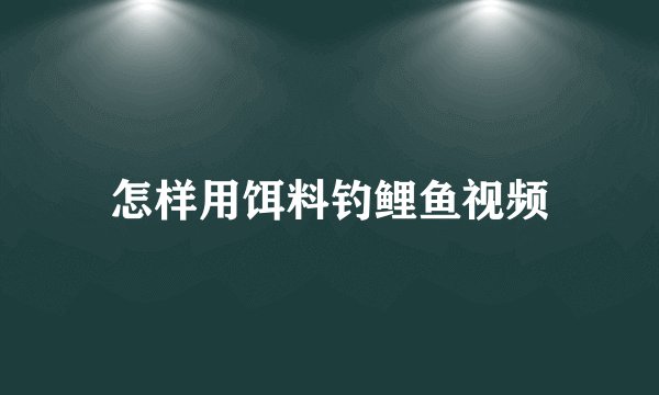 怎样用饵料钓鲤鱼视频