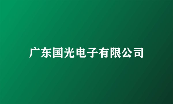 广东国光电子有限公司