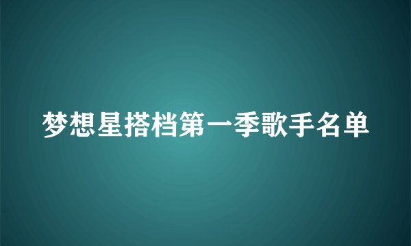 梦想星搭档第一季歌手名单