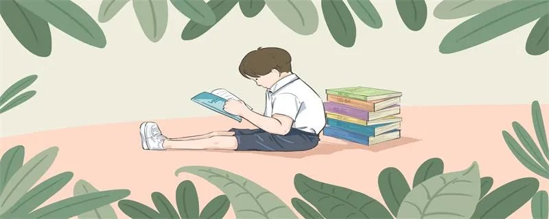 什么是类比