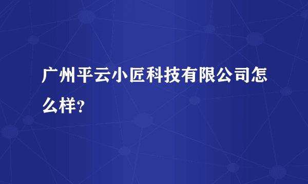 广州平云小匠科技有限公司怎么样?