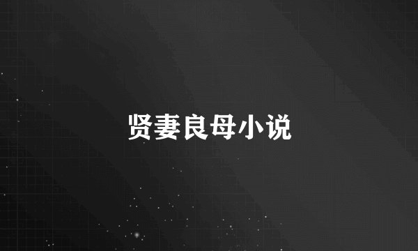 贤妻良母小说