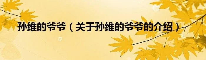 孙维的爷爷（关于孙维的爷爷的介绍）