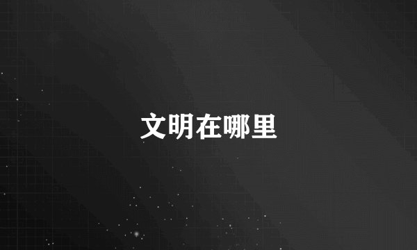文明在哪里
