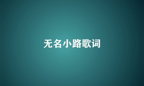 无名小路歌词