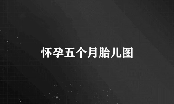 怀孕五个月胎儿图