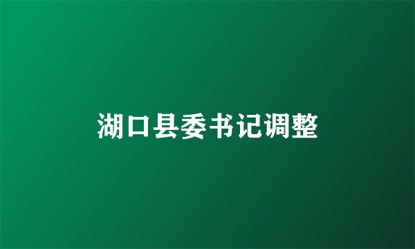 湖口县委书记调整