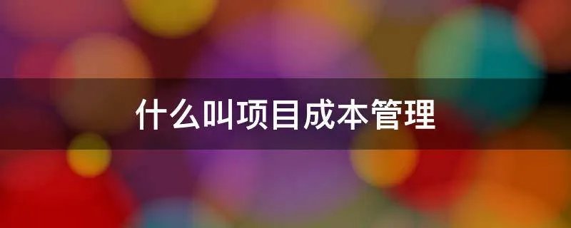 什么叫项目成本管理