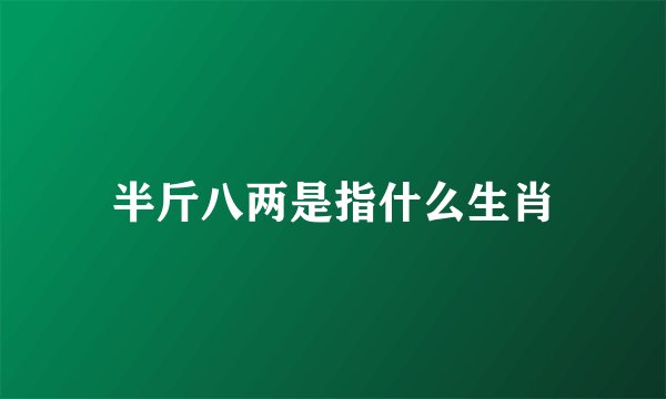 半斤八两是指什么生肖