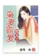 婚宠之枭妻霸爱_by落风一夜_txt全文阅读，百度网盘免费下载