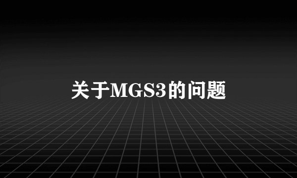 关于MGS3的问题