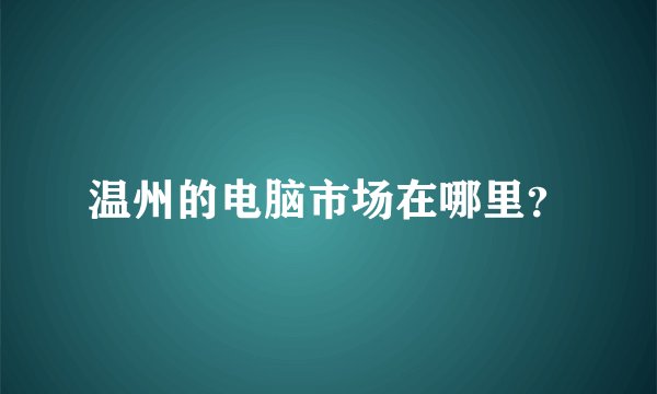 温州的电脑市场在哪里？