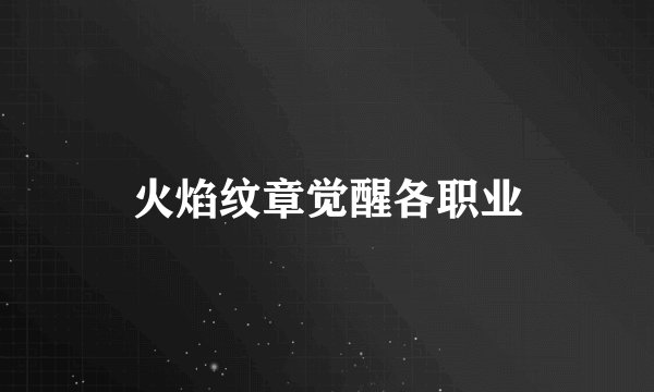 火焰纹章觉醒各职业