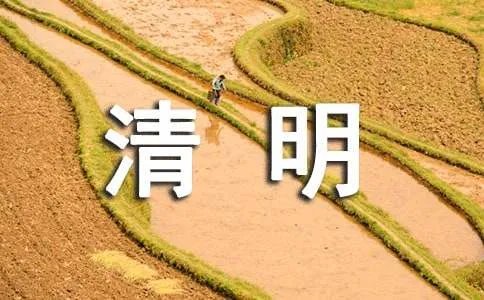 清明节的活动方案