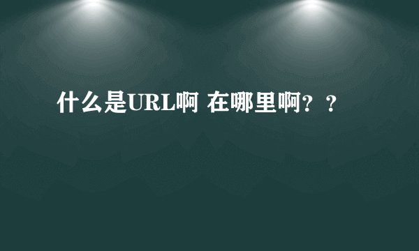 什么是URL啊 在哪里啊??