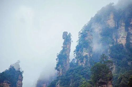 张家界有什么好的旅游公司吗?
