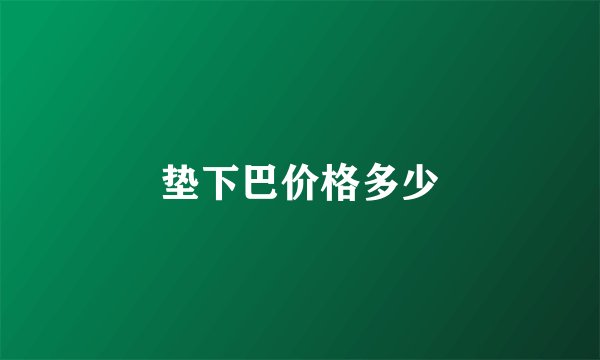 垫下巴价格多少