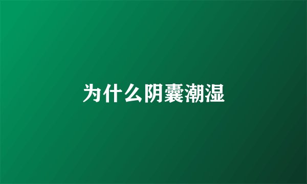 为什么阴囊潮湿