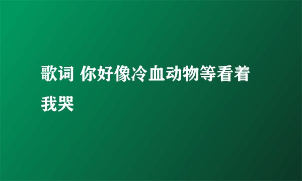 歌词 你好像冷血动物等看着我哭