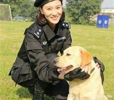 拉布拉多寻回犬和拉布拉多猎犬，两者到底有什么区别？