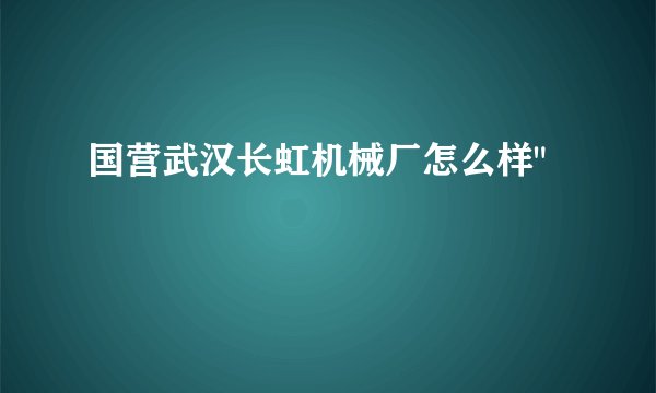 国营武汉长虹机械厂怎么样