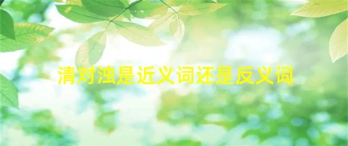 清对浊是近义词还是反义词