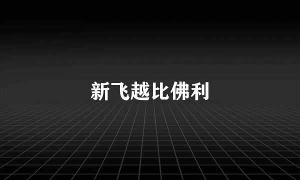 新飞越比佛利