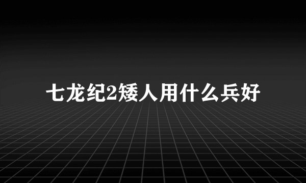 七龙纪2矮人用什么兵好