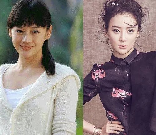 哪些女明星本来很好看却要整容,还越整越丑?
