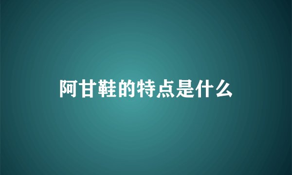 阿甘鞋的特点是什么