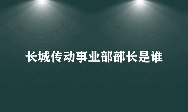 长城传动事业部部长是谁