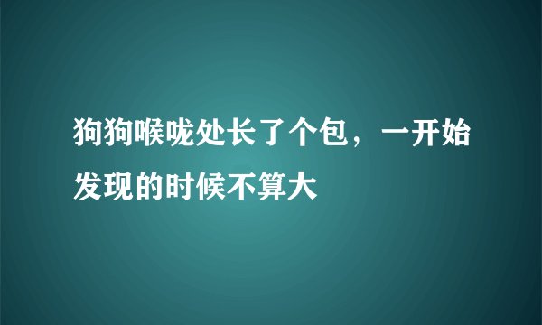 狗狗喉咙处长了个包，一开始发现的时候不算大