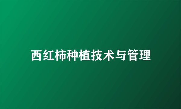 西红柿种植技术与管理