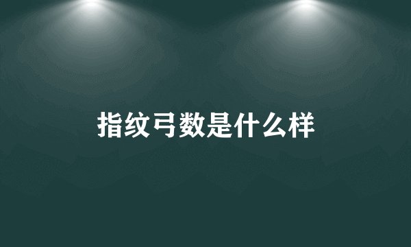 指纹弓数是什么样