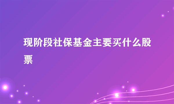 现阶段社保基金主要买什么股票