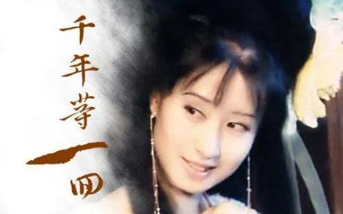 新白娘子传奇中的所有插曲都有哪些?