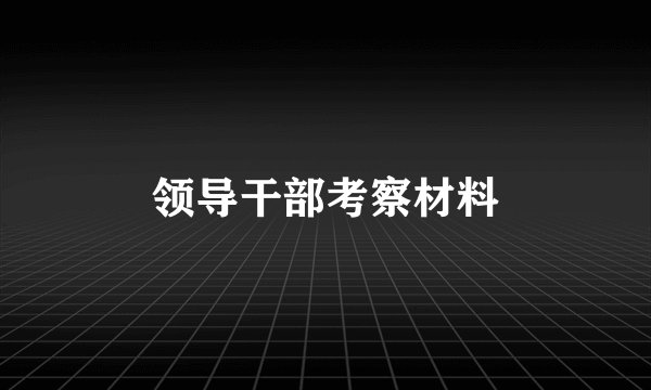 领导干部考察材料
