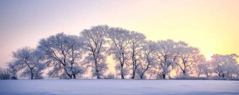 描写雪的诗40首 描写雪的诗句